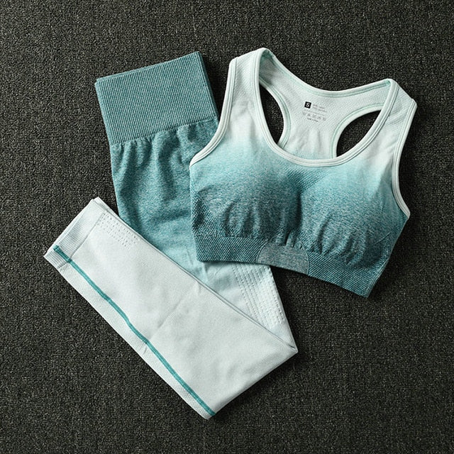 2PCS Yoga Set Women Long Sleeve Crop Tops And High Waisted Tummy Control Sport Leggings Gym Clothing Ombre Seamless Sport Suit
