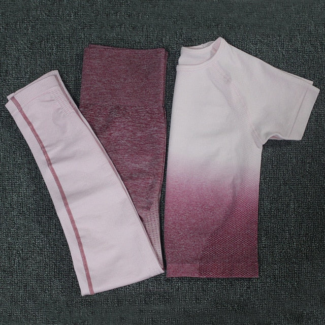 2PCS Yoga Set Women Long Sleeve Crop Tops And High Waisted Tummy Control Sport Leggings Gym Clothing Ombre Seamless Sport Suit
