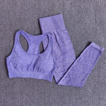 Seamless Yoga Set Women Fitness Clothing Sportswear Woman Gym Leggings Tights Padded Push-up Sports Bra  Sports Suits